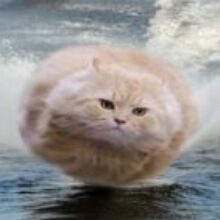 Hovercat2475